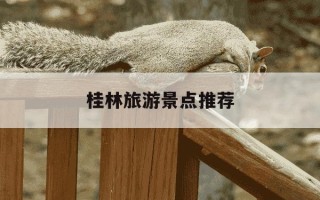 桂林旅游景点推荐-桂林旅游景点推荐免费一日游