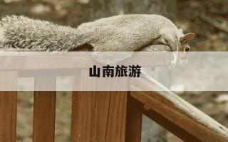 山南旅游-山南旅游文化投资有限责任公司