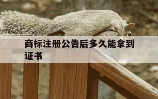 商标注册公告后多久能拿到证书-商标注册公告了是不是就成功了