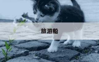 旅游船-旅游船制造