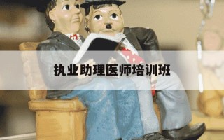 执业助理医师培训班-执业助理医师培训视频