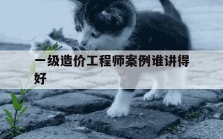 一级造价工程师案例谁讲得好-一级造价工程师案例听谁的