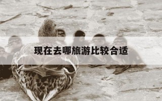 现在去哪旅游比较合适-现在去哪旅游最好