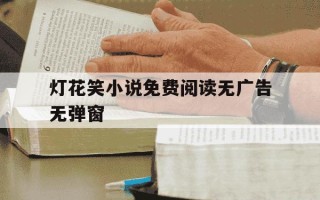 灯花笑小说免费阅读无广告无弹窗-灯花图片