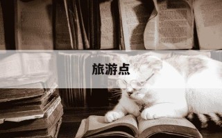 旅游点-旅游点亮地图怎么弄