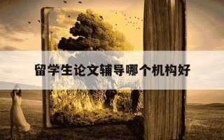 留学生论文辅导哪个机构好-留学生论文辅导哪个机构好一点