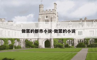 做菜的都市小说-做菜的小说