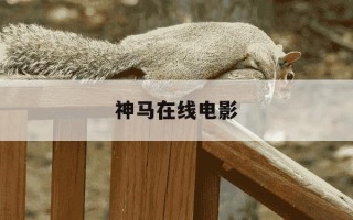 神马在线电影-什么网站看电影是免费