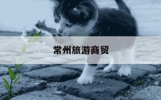 常州旅游商贸-常州旅游商贸有什么专业