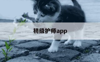 初级护师app-初级护师app哪个好免费的