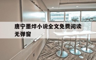 唐宁墨烨小说全文免费阅读无弹窗-唐宁墨霆全本小说阅读