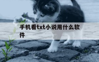 手机看txt小说用什么软件-手机txt看书软件