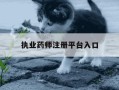 执业药师注册平台入口-执业药师注册平台入口官网执业药师再注册密码是多少