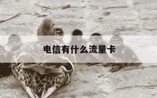 电信有什么流量卡-电信有什么流量卡吗