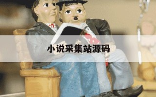 小说采集站源码-小说采集器