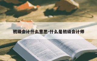 初级会计什么意思-什么是初级会计师