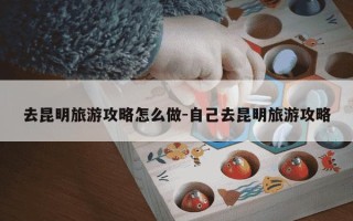 去昆明旅游攻略怎么做-自己去昆明旅游攻略