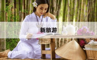 新旅游-新旅游法 涨价