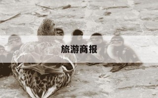 旅游商报-旅游商报杜哲最新动态