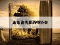 山东省执业药师协会-山东省执业药师