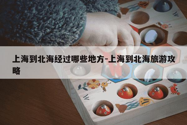 上海到北海经过哪些地方-上海到北海旅游攻略-第1张图片-学习推荐网 上海到北海经过哪些地方-上海到北海旅游攻略-第1张图片-学习推荐网