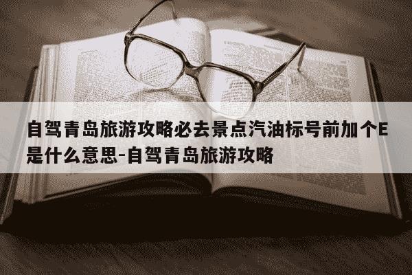 自驾青岛旅游攻略必去景点汽油标号前加个E是什么意思-自驾青岛旅游攻略-第1张图片-学习推荐网