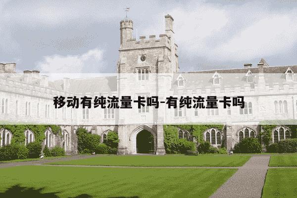 移动有纯流量卡吗-有纯流量卡吗-第1张图片-学习推荐网