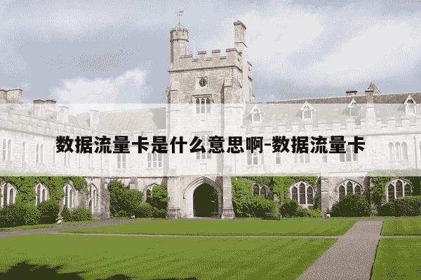 数据流量卡是什么意思啊-数据流量卡-第1张图片-学习推荐网