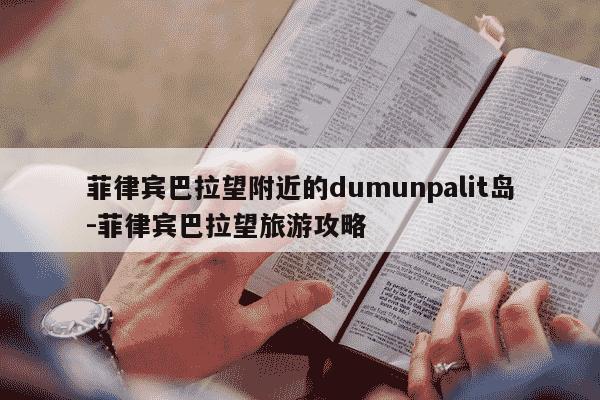 菲律宾巴拉望附近的dumunpalit岛-菲律宾巴拉望旅游攻略-第1张图片-学习推荐网