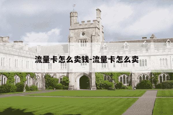 流量卡怎么卖钱-流量卡怎么卖-第1张图片-学习推荐网