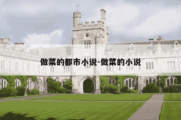 做菜的都市小说-做菜的小说-第1张图片-学习推荐网