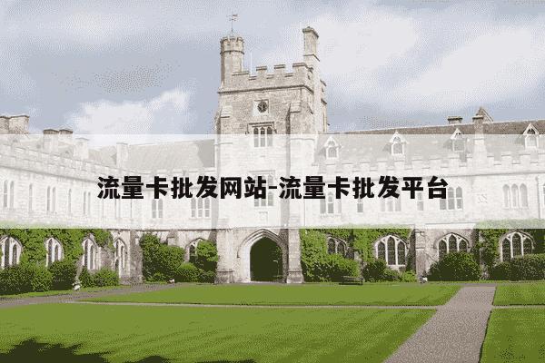 流量卡批发网站-流量卡批发平台-第1张图片-学习推荐网