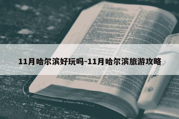 11月哈尔滨好玩吗-11月哈尔滨旅游攻略-第1张图片-学习推荐网 11月哈尔滨好玩吗-11月哈尔滨旅游攻略-第1张图片-学习推荐网