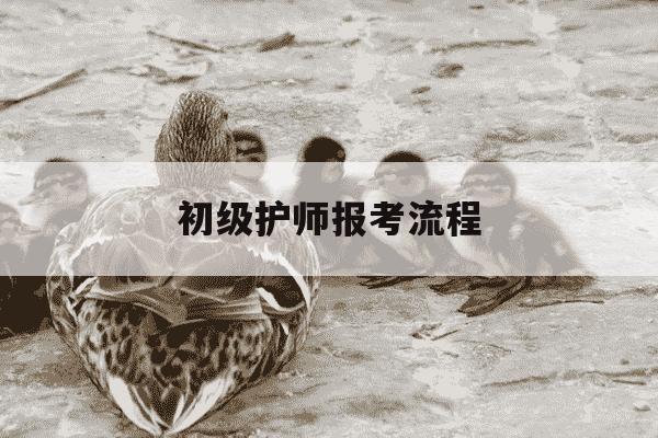 初级护师报考流程-初级护师报名资格条件-第1张图片-学习推荐网