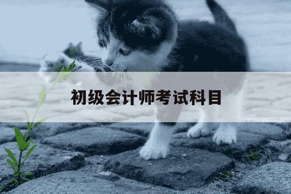 初级会计师考试科目-初级会计师考试科目及题型-第1张图片-学习推荐网 初级会计师考试科目-初级会计师考试科目及题型-第1张图片-学习推荐网