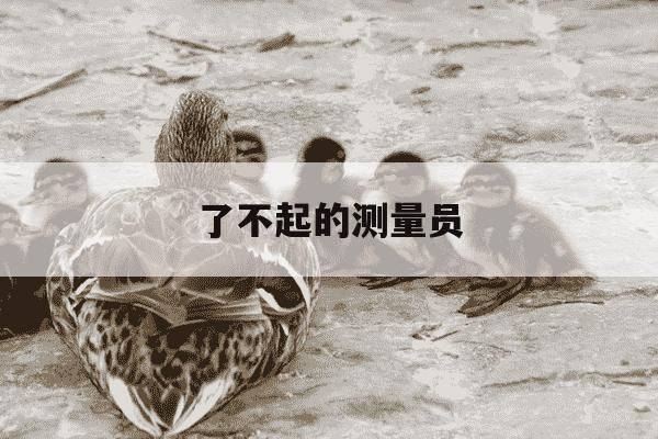 了不起的测量员-了不起的测量员绘本故事-第1张图片-学习推荐网 了不起的测量员-了不起的测量员绘本故事-第1张图片-学习推荐网