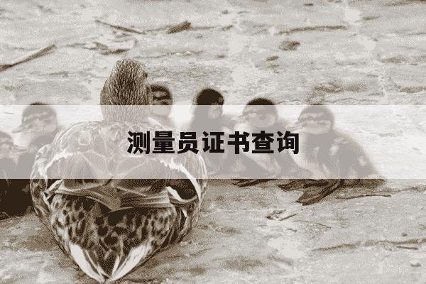 测量员证书查询-测量员证在哪里报考-第1张图片-学习推荐网 测量员证书查询-测量员证在哪里报考-第1张图片-学习推荐网