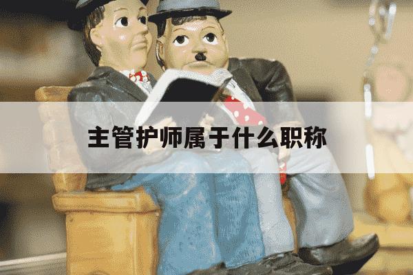 主管护师属于什么职称-主管护师属于什么职称级别-第1张图片-学习推荐网 主管护师属于什么职称-主管护师属于什么职称级别-第1张图片-学习推荐网