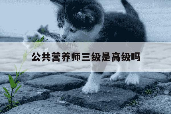 公共营养师三级是高级吗-人社第三方公共营养师-第1张图片-学习推荐网