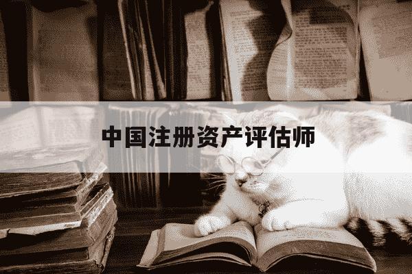中国注册资产评估师-中国注册资产评估师协会官网-第1张图片-学习推荐网 中国注册资产评估师-中国注册资产评估师协会官网-第1张图片-学习推荐网