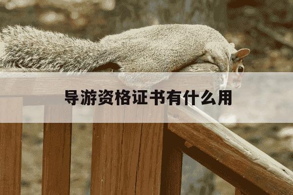 导游资格证书有什么用-导游资格证书有什么用处-第1张图片-学习推荐网 导游资格证书有什么用-导游资格证书有什么用处-第1张图片-学习推荐网
