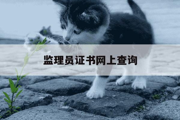监理员证书网上查询-监理员证书查询系统-第1张图片-学习推荐网 监理员证书网上查询-监理员证书查询系统-第1张图片-学习推荐网