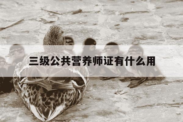 三级公共营养师证有什么用-公共营养师报名官网收费-第1张图片-学习推荐网 三级公共营养师证有什么用-公共营养师报名官网收费-第1张图片-学习推荐网