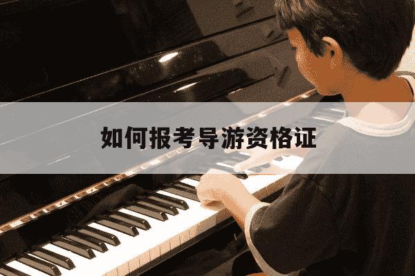 如何报考导游资格证-报考导游资格证审核要多久-第1张图片-学习推荐网