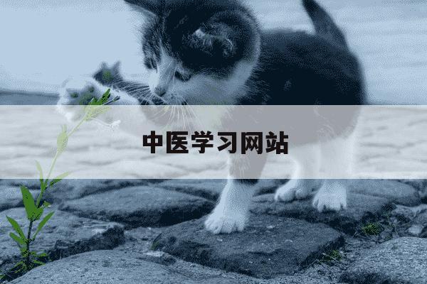 中医学习网站-中医网校-第1张图片-学习推荐网 中医学习网站-中医网校-第1张图片-学习推荐网