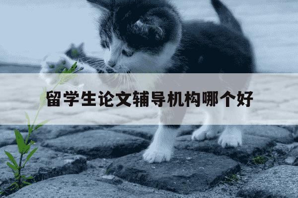 留学生论文辅导机构哪个好-留学生论文辅导机构哪个好一点-第1张图片-学习推荐网 留学生论文辅导机构哪个好-留学生论文辅导机构哪个好一点-第1张图片-学习推荐网