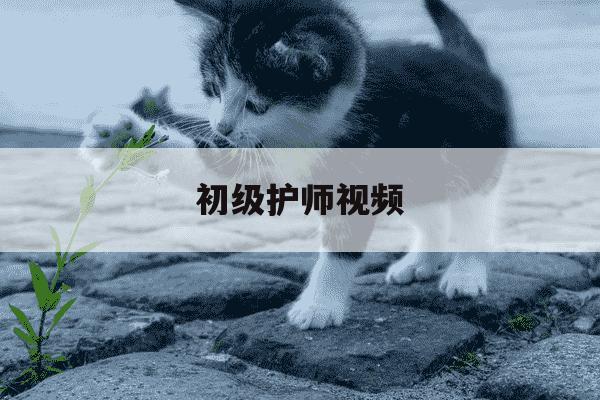 初级护师视频-初级护师视频课程-第1张图片-学习推荐网