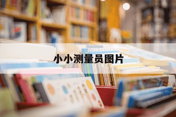 小小测量员图片-小小测量员活动反思-第1张图片-学习推荐网