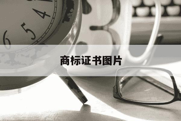 商标证书图片-商标证书是什么样子的图片-第1张图片-学习推荐网