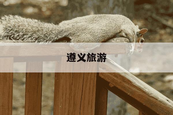 遵义旅游-遵义旅游必去十大景点-第1张图片-学习推荐网 遵义旅游-遵义旅游必去十大景点-第1张图片-学习推荐网